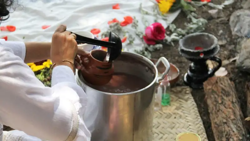 Ayahuasca: Gizemli İlaç ve Yasakları ile İlgili Her Şey