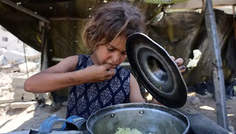 Gazze'deki Kıtlık Krizi: Savunmasızların Çığlığı ve Uluslararası Tepkiler