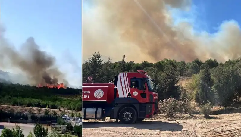Gebze'de Orman Yangını Çıktı: Yangınla Mücadele Hız Kesmiyor