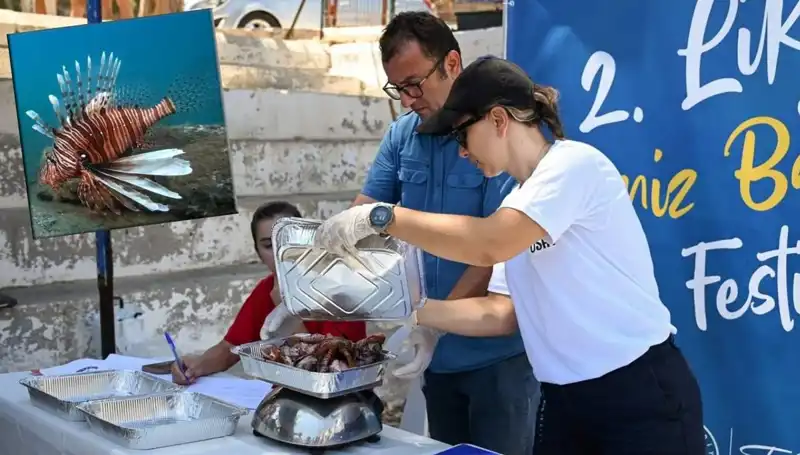 Antalya'da Düzenlenen İstilacı Aslan Balığı Avlama Yarışması Heyecan Yarattı