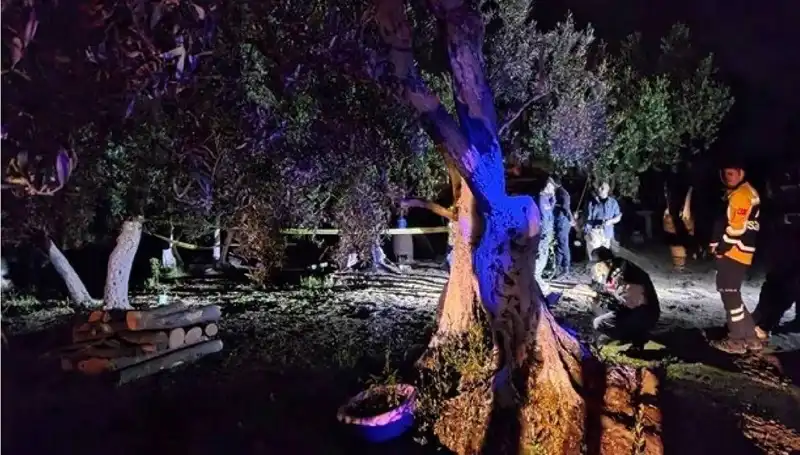 Çiftlikteki Baltalı Vahşet: Olayla İlgili İlk Tutuklama Gerçekleşti