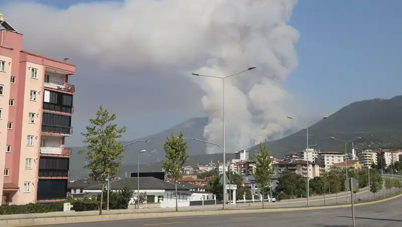 Denizli'de Şüpheli Orman Yangınında Gözaltı: Olayın Detayları Neler?