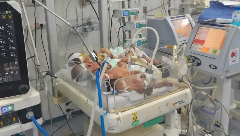 Gazzeli Hekimler Çaresizlik İçinde: Kuvözlerde Birden Fazla Bebek
