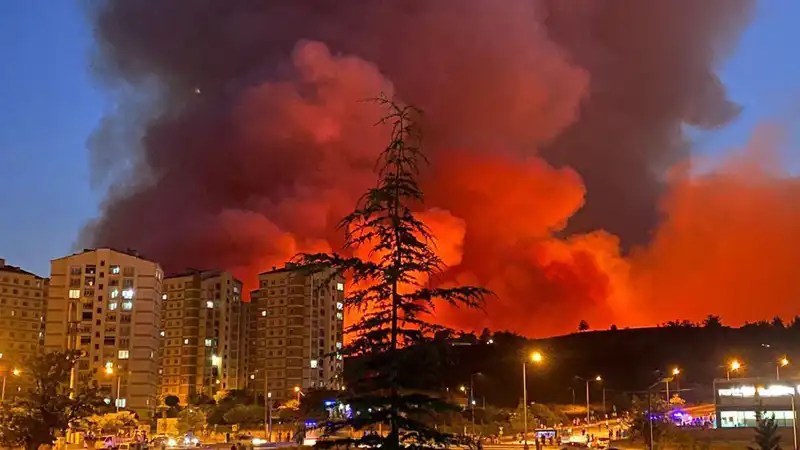 Bursa'da Yangın Alarmları: Şehir Yangınlarla Sarsıldı!