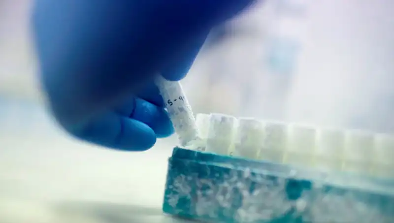 Sperm Donörü Skandalı: 85 Kişi Binlerce Bebeğe Baba Oldu!